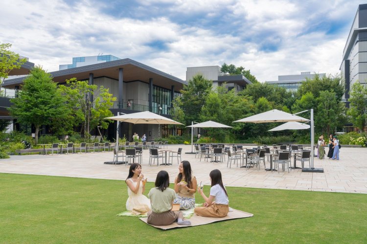 陽光が降り注ぐ天然芝の広場。