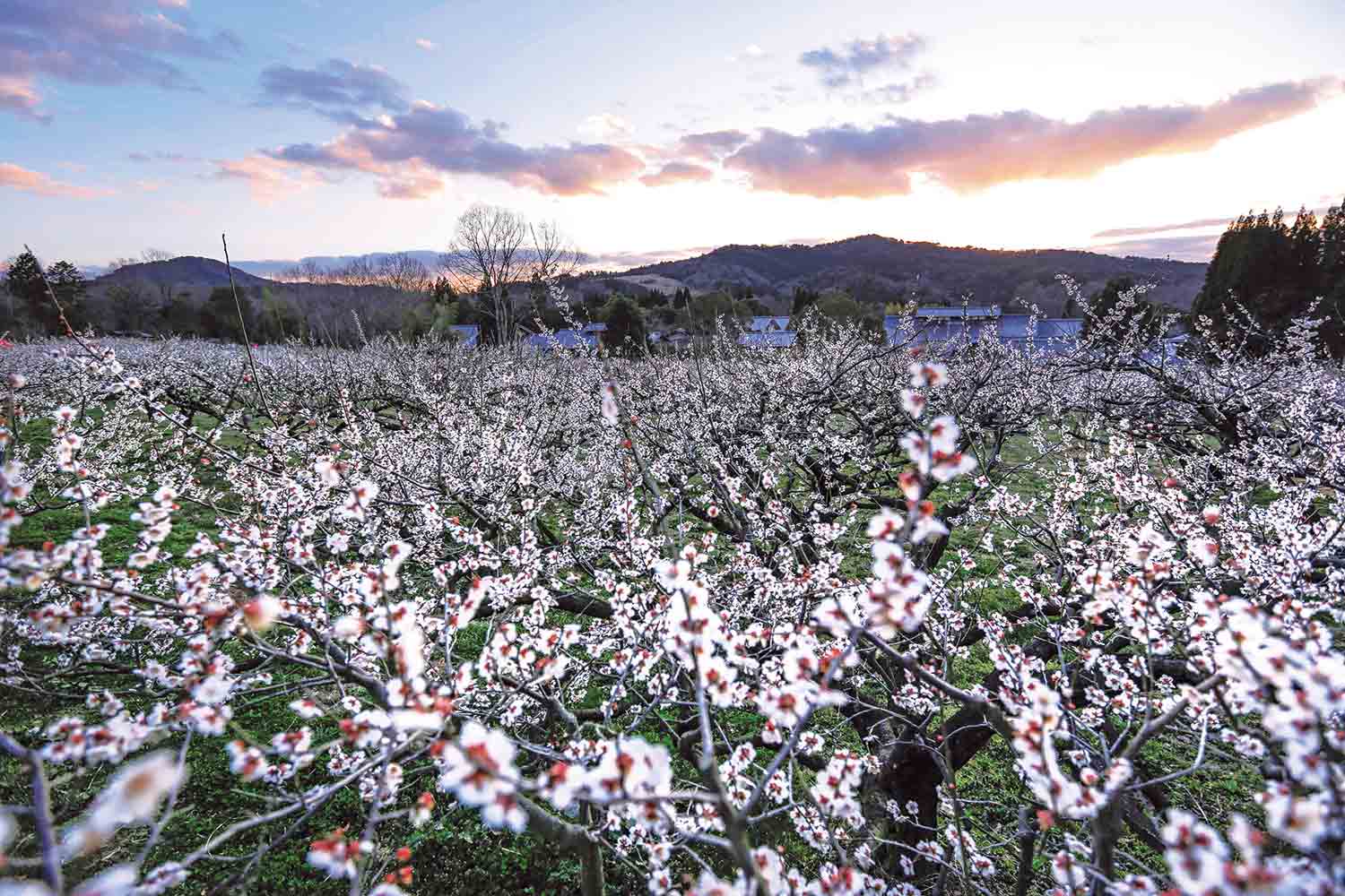 【旅の手帖】広いぞ滋賀県大津市_2