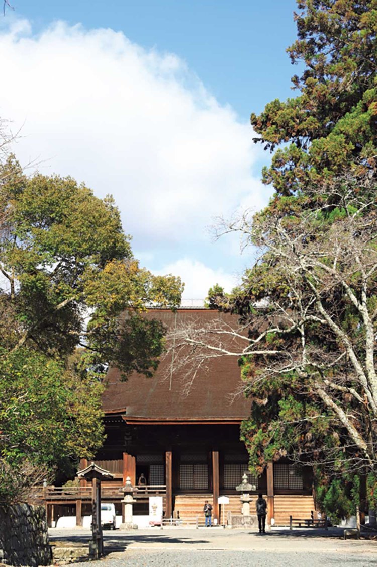 国宝である三井寺の金堂（本堂）は桃山時代築。春は金堂から南に続く参道が桜で彩られる。