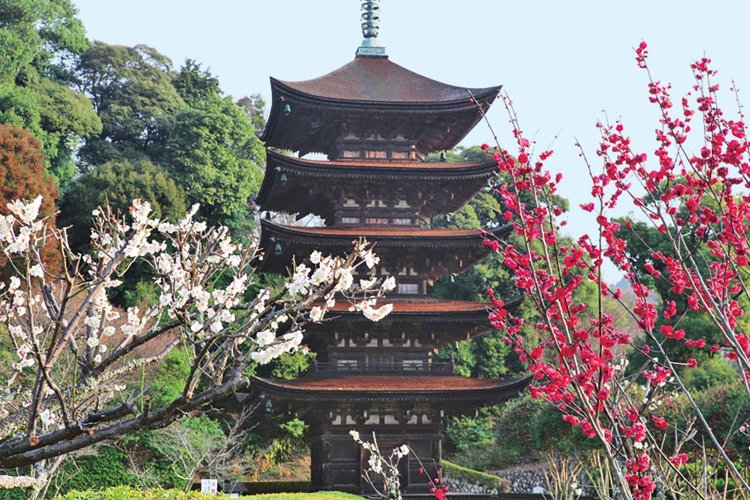 【旅の手帖】国宝-瑠璃光寺五重塔