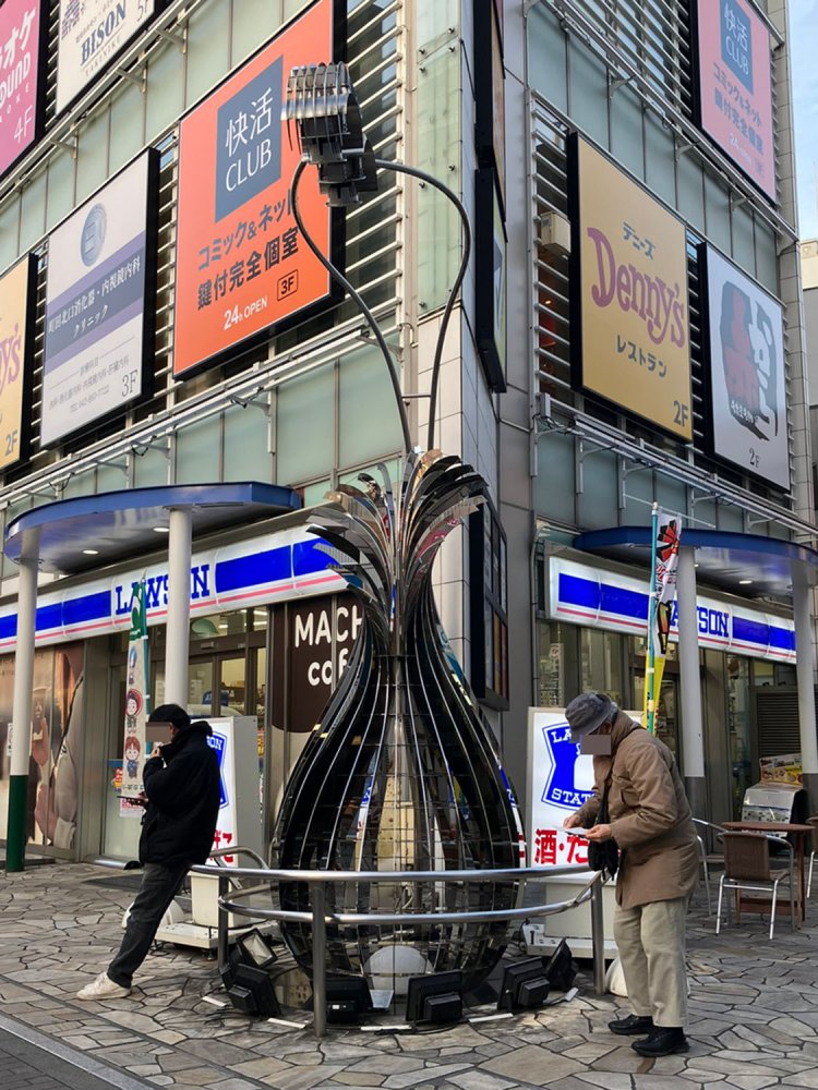 昼のメタルミョウガ。昼はミョウガ感は少し薄い。