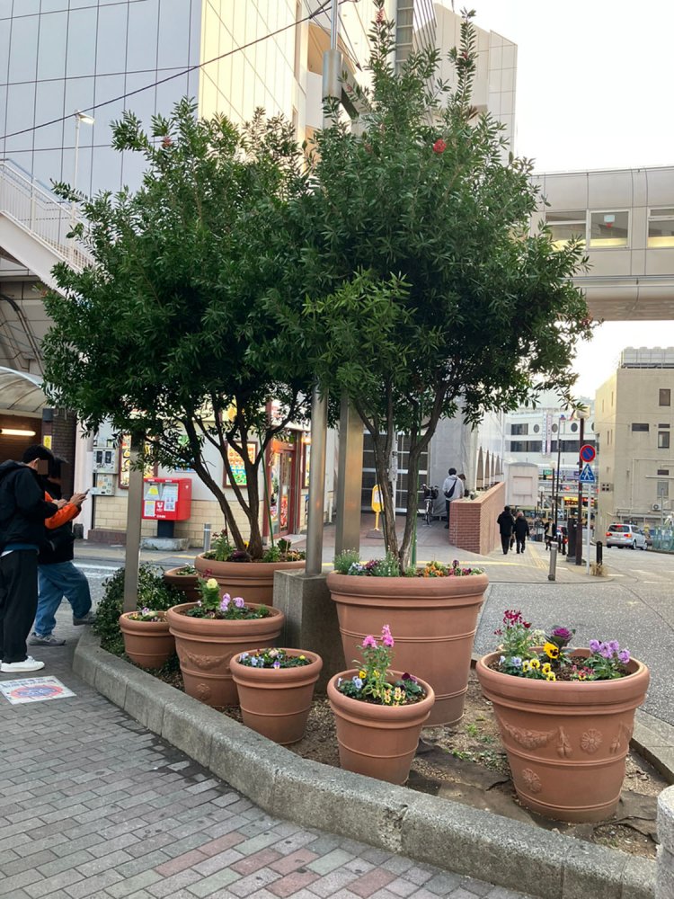 machiawase10-11町田駅