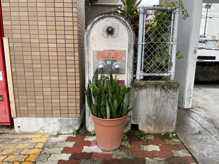 沖縄・那覇の送水口。サンセベリアの鉢植えが南国感を演出（写真：佐々木あやこ）。