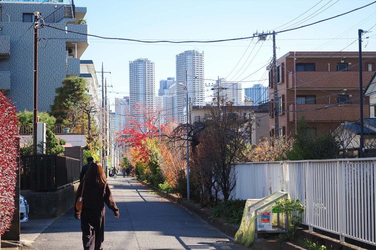 等々力緑地へむかう途中の景色。武蔵小杉駅前のタワーマンション群がすごい！