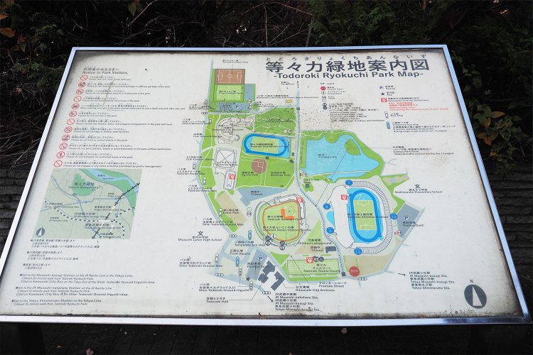 これは散歩し甲斐がありますな。