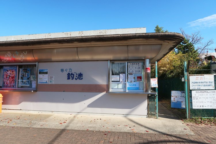 等々力緑地内にある釣り堀『等々力釣池』。道具はレンタルできるから手ぶらでいい。