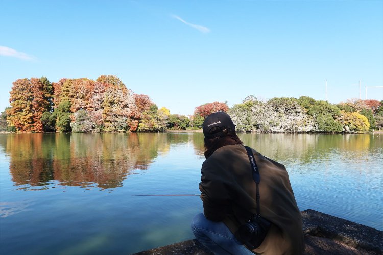 まずい。1日中ここにずっといたくなる。