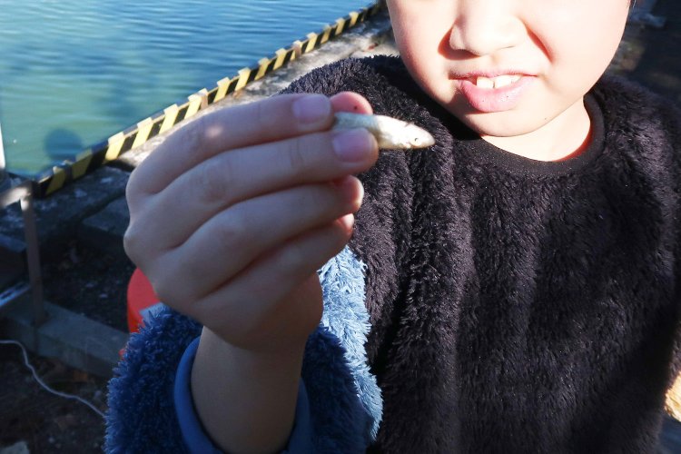 たぶん学校でモテるタイプ。