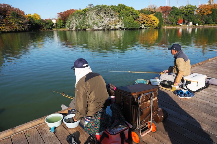 釣り堀ってもっと初心者向けなんだと思ってた。