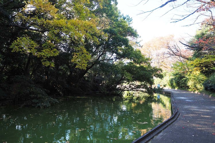 釣り堀の一番奥のほうはアマゾンみたいで、鳥がたくさんいた。