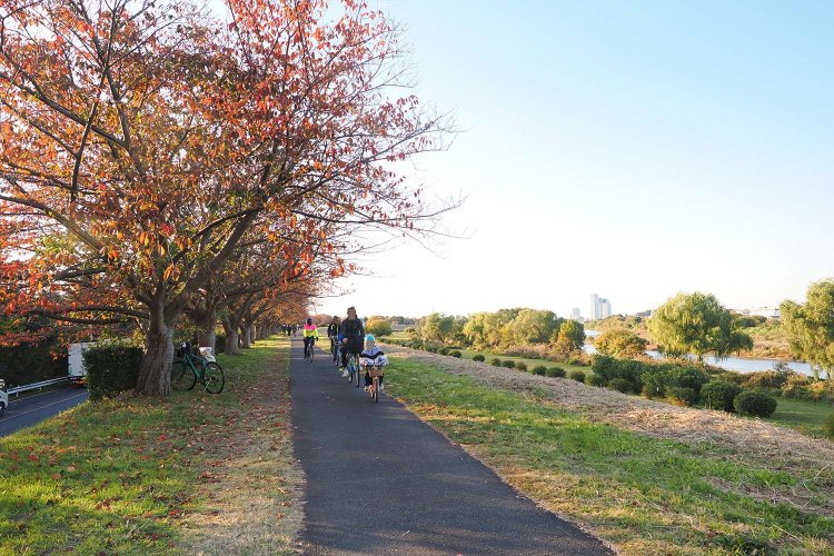 多摩川の土手。春になるとひとあし早く桜が咲いてきれいだという。