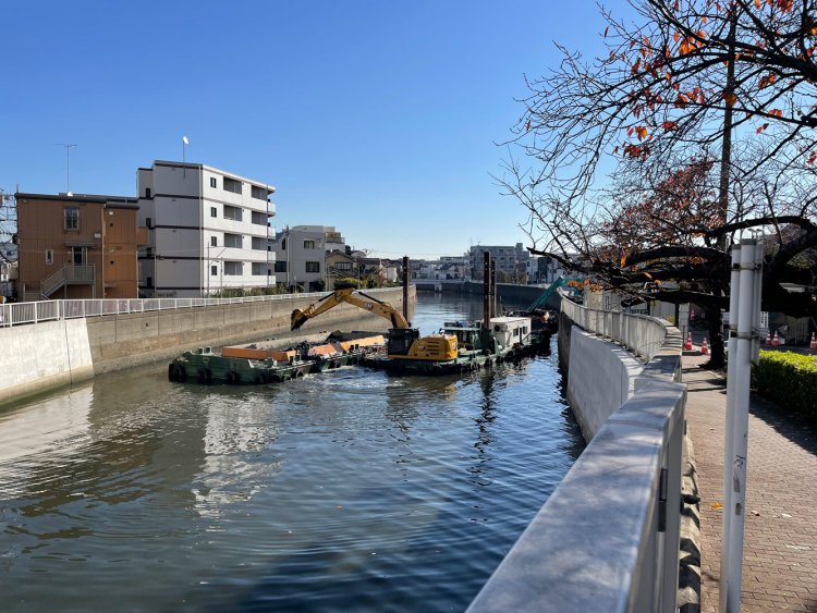 夫婦橋方向から見た呑川。2025年12月現在、防潮堤耐震補強工事を行なっているため夫婦橋親水公園は休園中。