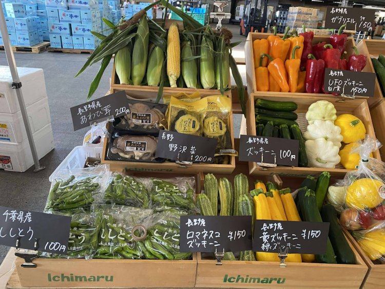 旬の青果や季節の花がズラリ！市川地方卸売市場で「いちかわごちそうマルシェ」が1月24日に開催
