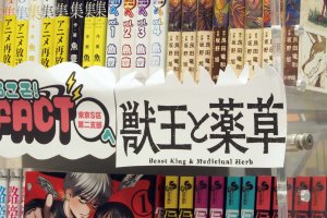 くまざわ書店 本八幡店