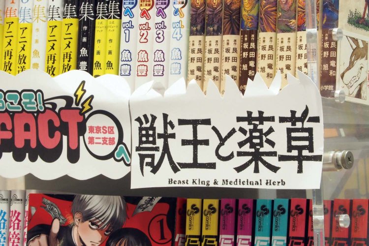 工夫を凝らした装飾もにぎやか。