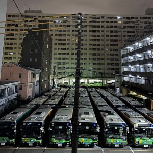 金曜日深夜アンデッド散歩【もう、普通の散歩には飽きている／ワクサカソウヘイ】