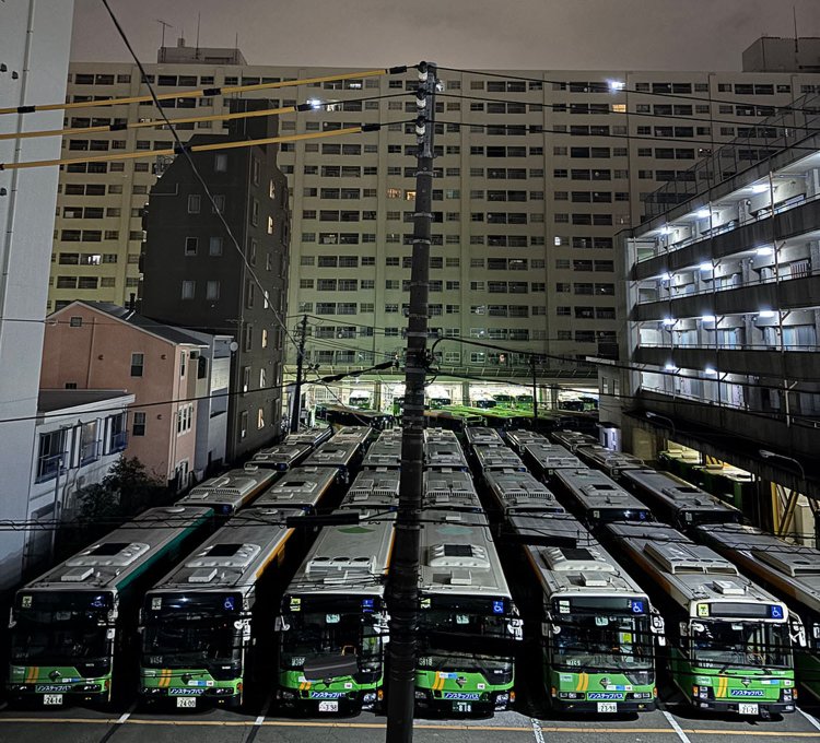 金曜日深夜アンデッド散歩【もう、普通の散歩には飽きている／ワクサカソウヘイ】