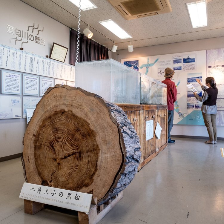 開成水辺スポーツ公園南側の土手上にあり、入館は無料。