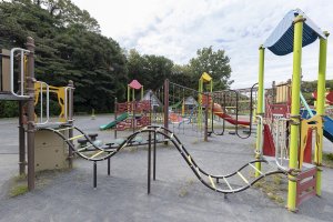 ピエール瀧が行く ファンキー！公園