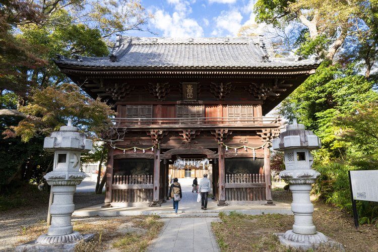 急な石段の先に現れる真間山弘法寺の仁王門。