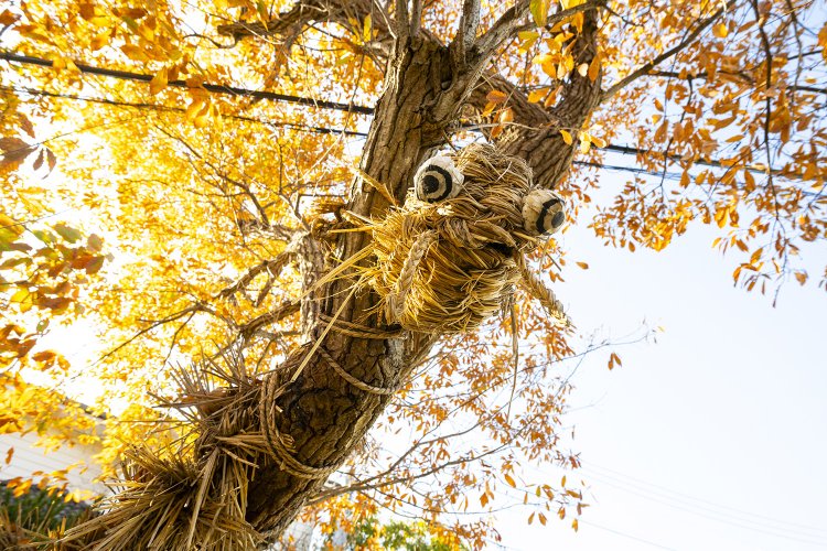 魔除けの大蛇「国府台辻切り」は4カ所にあり。