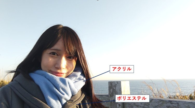 冬の海辺を散歩。裏地がポリエステルのダウンコート、アクリルのマフラーで静電気対策。