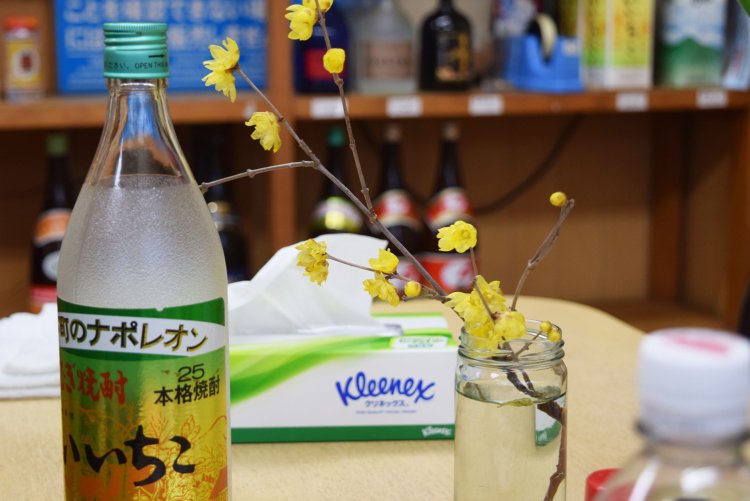 老梅の飾られたテーブルで酒を飲んだ。