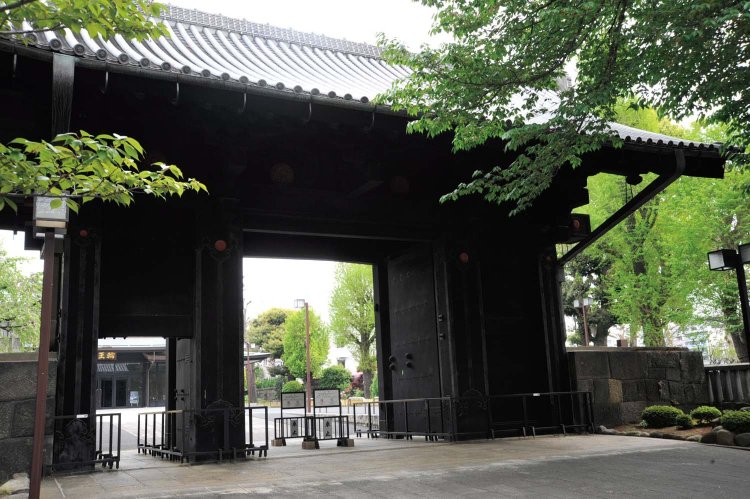 寛永寺旧本坊表門