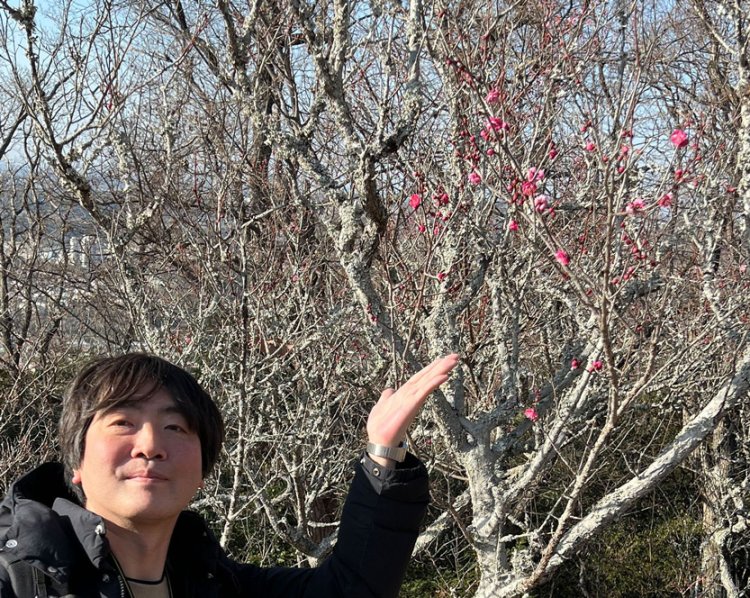 取材時は1月中旬だったが、もう梅の花が咲いていました。