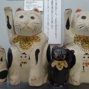 武蔵屋坂崎商店（東京都 / ショップ）｜さんたつ by 散歩の達人