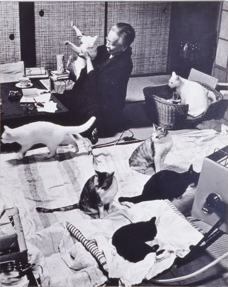 和室で猫と戯れる 1964年。