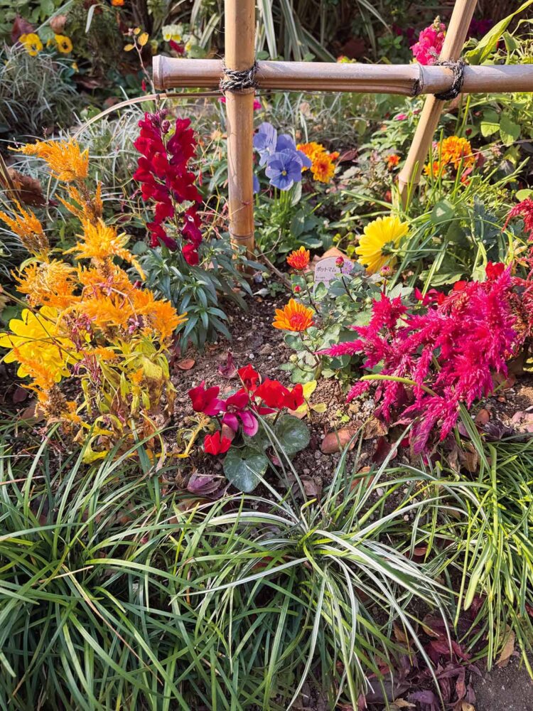 1_天竜川ナコンpsd