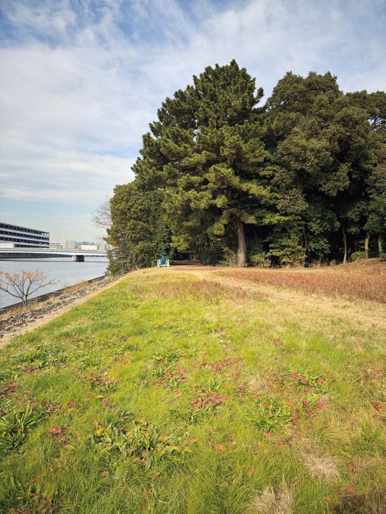 天竜川ナコンpsd