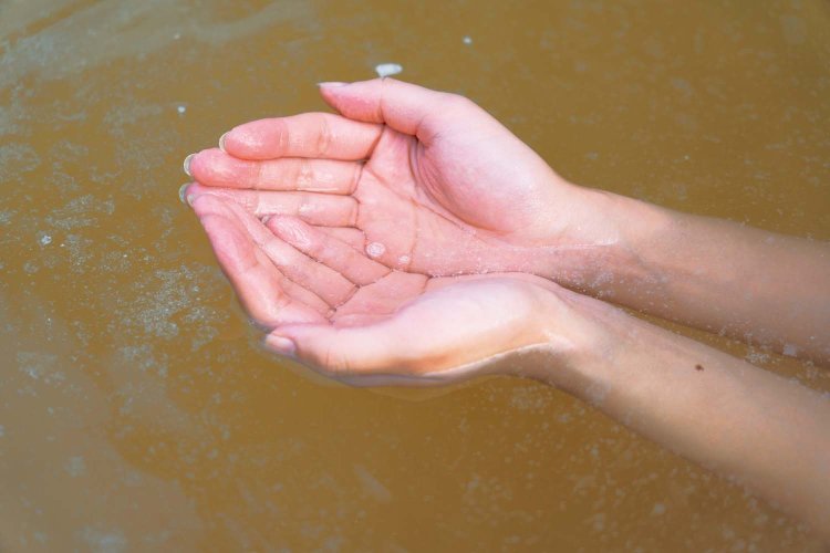 水面では泡が絶えず発生し、ときに30㎝以上立ち上ることも。