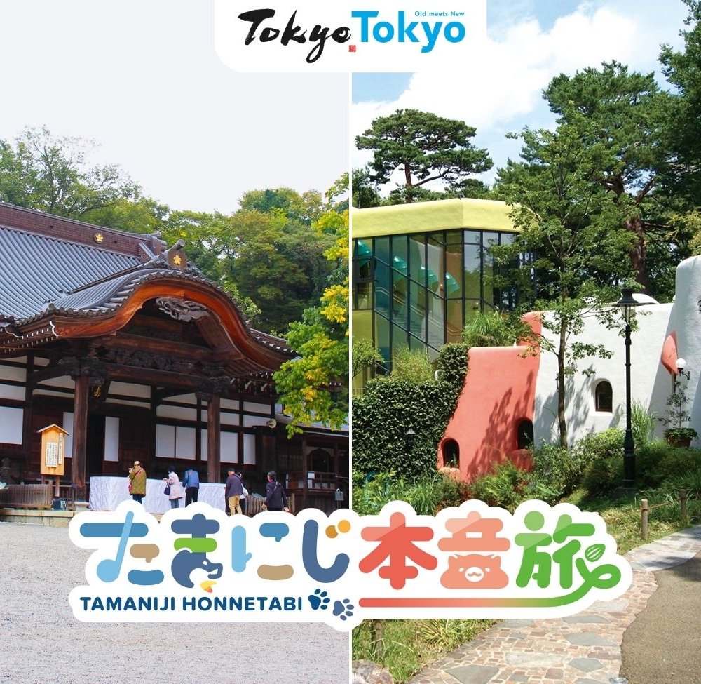 【たまにじ本音旅】三鷹市立アニメーション美術館（三鷹市）と深大寺（調布市）│デジタルラリー8つのチェックインスポットと周辺エリア紹介vol.1