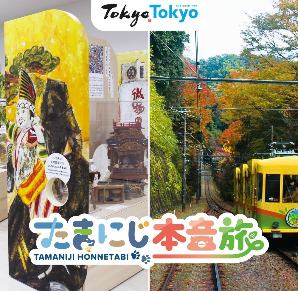 【たまにじ本音旅】桑都日本遺産センター 八王子博物館と高尾山（八王子市）│デジタルラリー8つのチェックインスポットと周辺エリア紹介vol.4