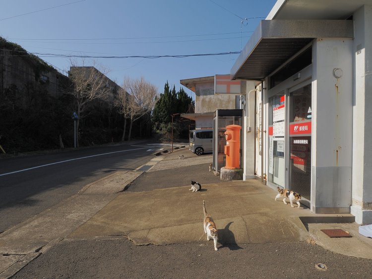 商店街の並びは簡易郵便局が営業していた。島内唯一の金融機関でもある。また猫の憩いの場でもある。