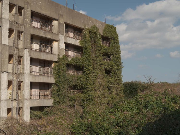 徐々にだが確実に自然と一体化していくアパート。