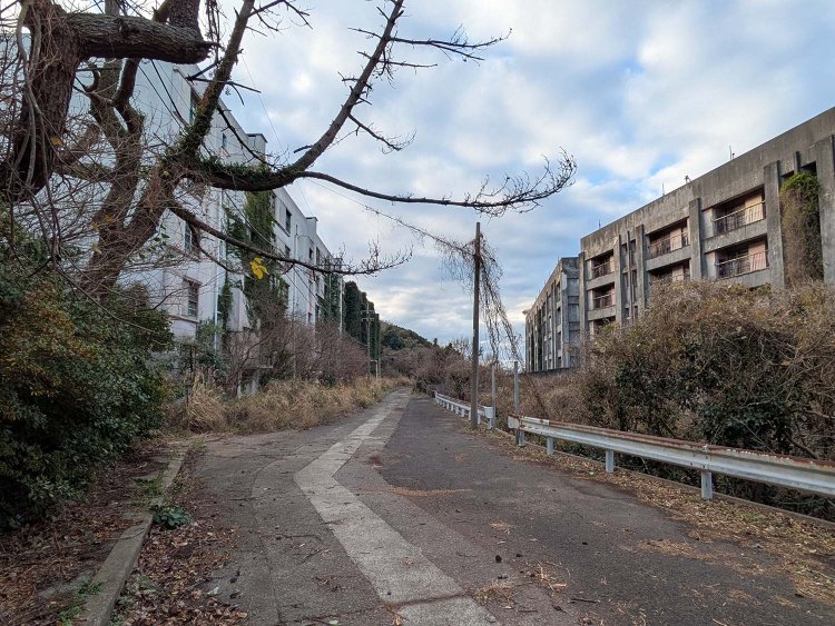 8階建ての裏手は斜面となり、5階から出入りが可能な構造だった。もちろん、現役の頃は植物が生い茂っていなかった。左手のアパートは5階建てで反対側は五島灘が一望できる。　