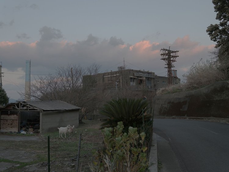 炭坑施設跡とヤギ。ヤギは港だけでなく発電所近くでも飼育されていた。