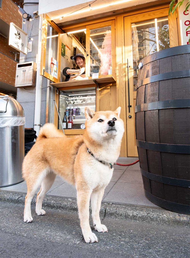 『goddog』のオーナーの愛犬・たまちゃんと、窓から顔を出す店長の満尾優さん。「ホットドッグを散歩のお供にね！」。