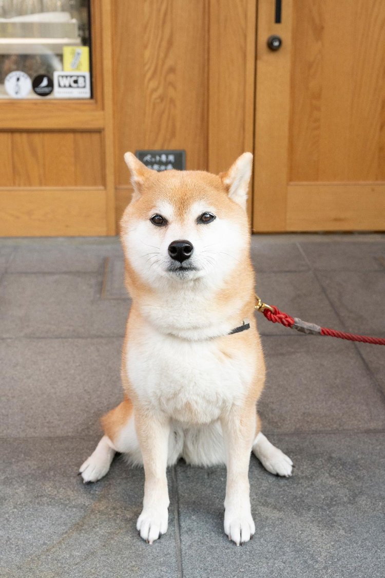 平日、隣の美容院にいるよ！