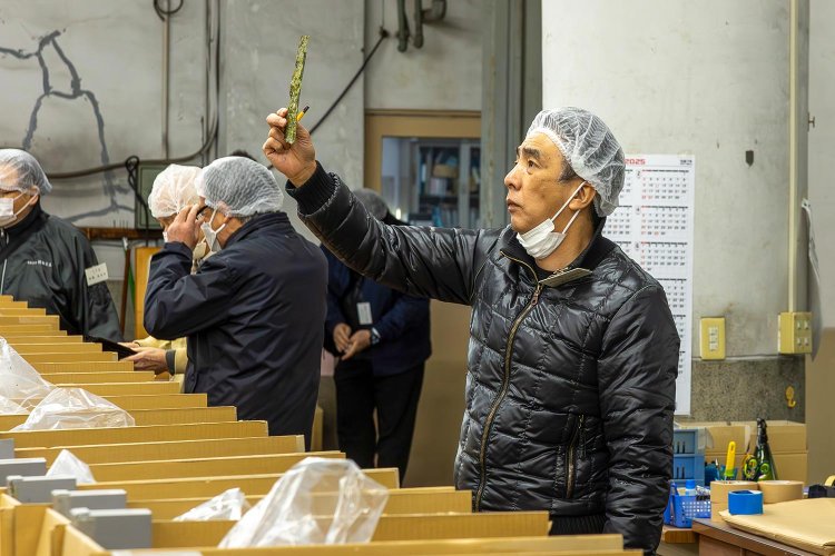 【散歩の達人】海苔の聖地_2