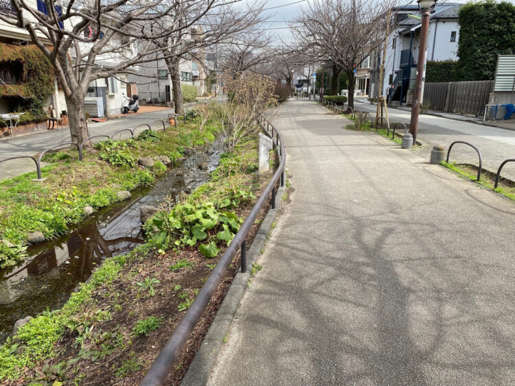 近隣住民の憩いの場となっている北沢川緑道。暗渠となった北沢川の上に高度処理水を流した小川が（撮影＝編集部）。