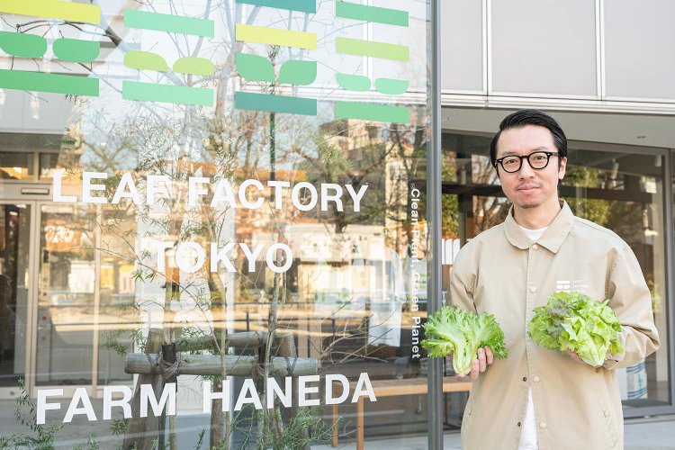 FARM HANEDA（ファーム ハネダ）