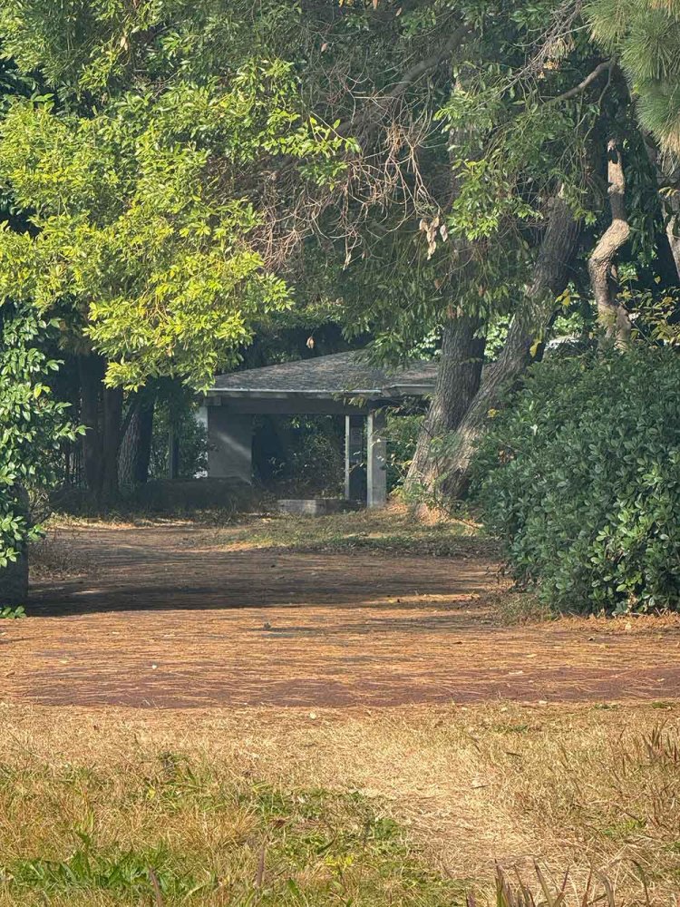 【散歩の達人】流通センター駅からさんぽ_4