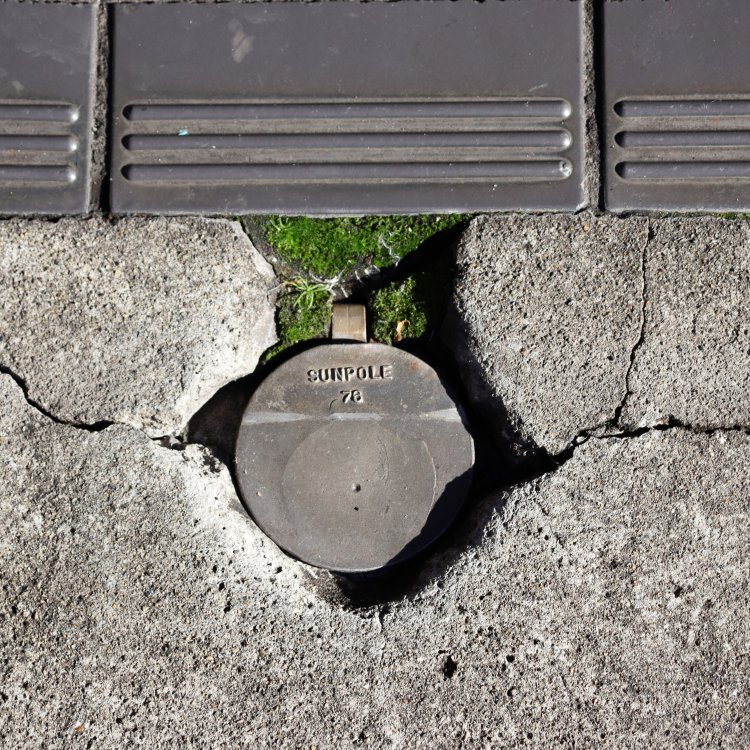 車止めのポールとブロックの間をつなぐ苔。新宿にて。