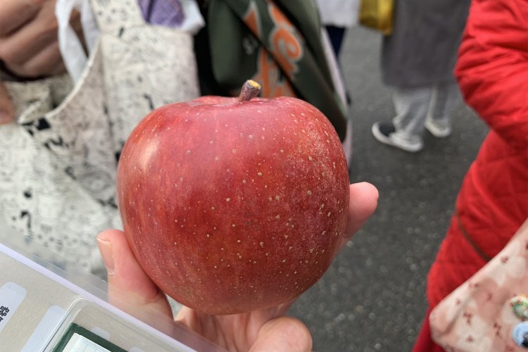 久しぶりに会った友人に、買ったばかりのリンゴをおすそ分けしてもらった。