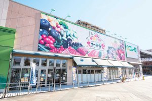 【旅の手帖】大きな新鮮村_1