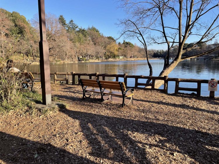 野口雨情の歌碑近くのベンチ。